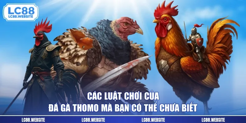 Các luật chơi của đá gà Thomo mà bạn có thể chưa biết