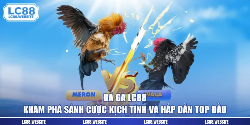 Đá Gà LC88 - Khám Phá Sảnh Cược Kịch Tính Và Hấp Dẫn Top Đầu