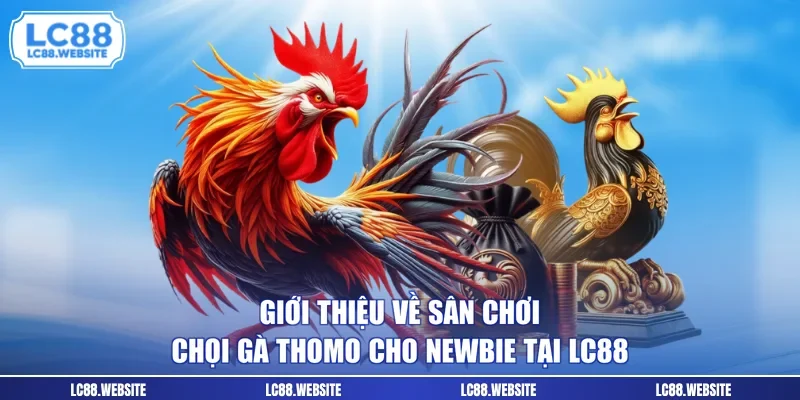 Giới  thiệu về sân chơi chọi gà Thomo cho newbie tại LC88