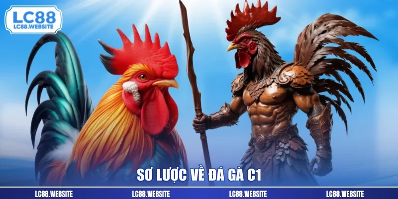 Sơ lược về đá gà c1 